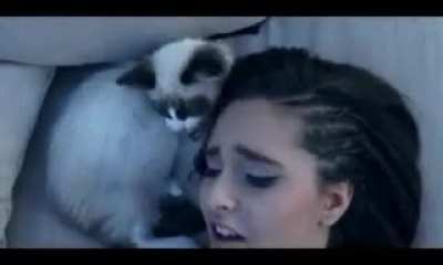 Kitty