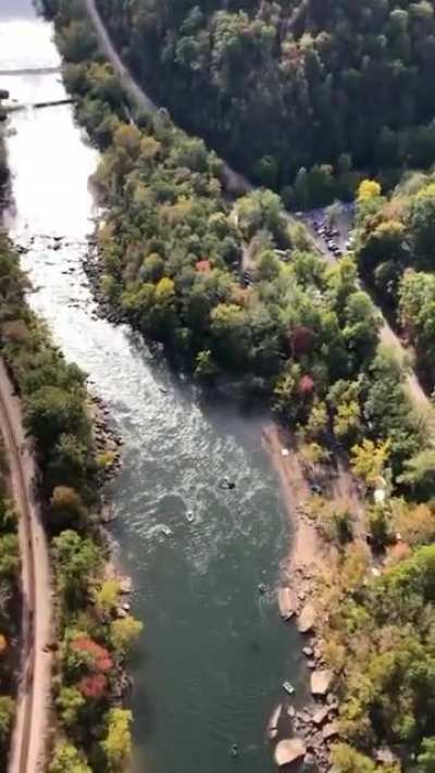 Human catapult