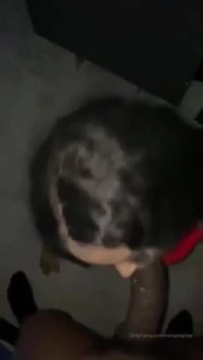 🖤🤎
