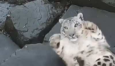 She didn't liked being filmed