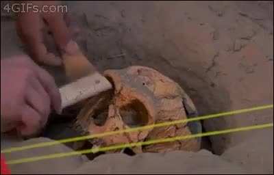 [Media] Using the trowel on soil like