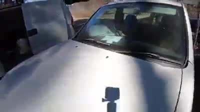 Dog sleeps while beeping carhorn