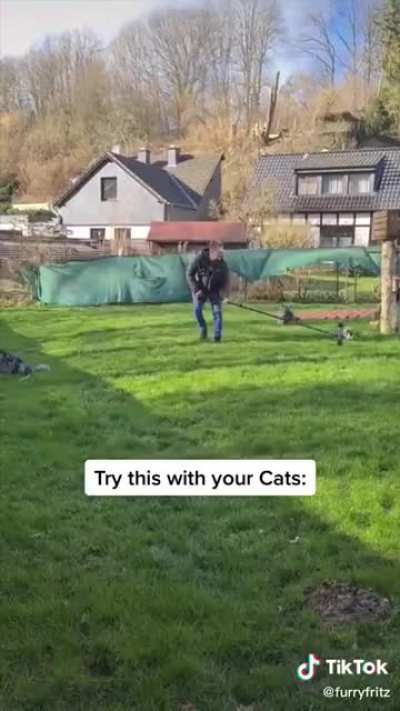 Murder mittens
