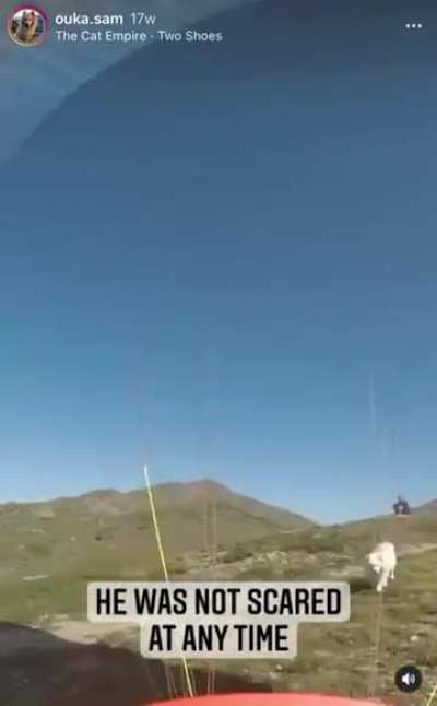 Paragliding tandem with Good Boi