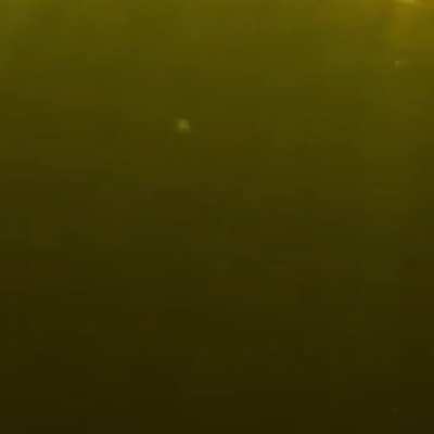 That camera was underwater for a long time...