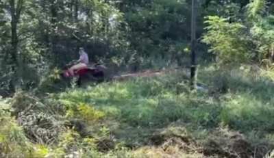 ThisLooksFun 