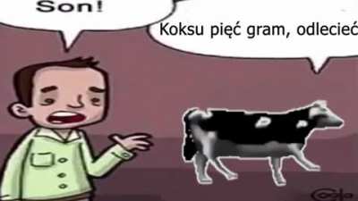 Vaca 😎👍