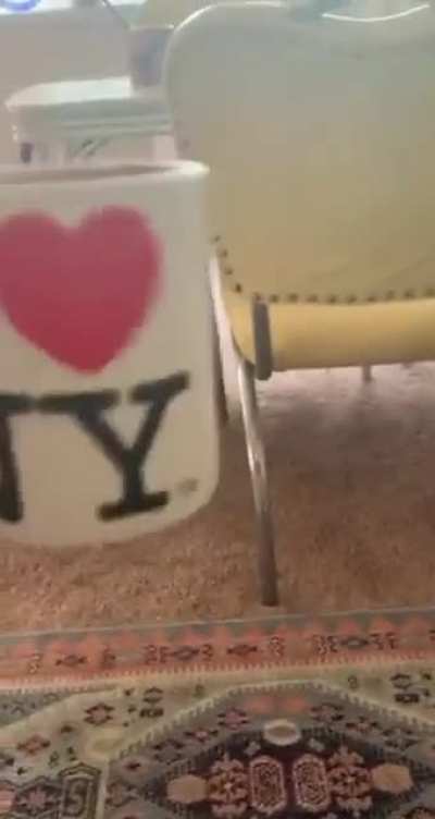 I love cooofe