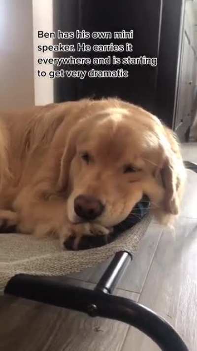 Maybe he was a musician in a past life