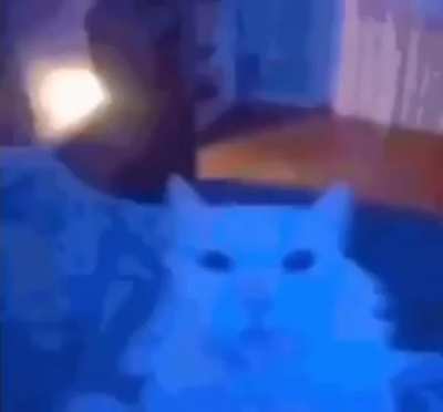 catJAM