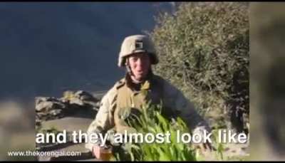Taliban hunter