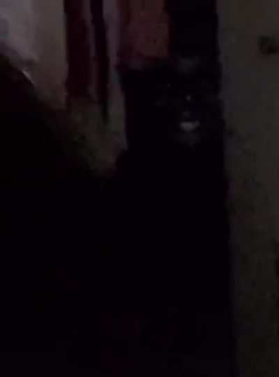Cursed_peep