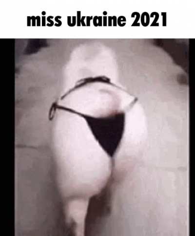 DAMN