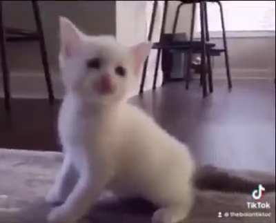 What??! Penis sex !?