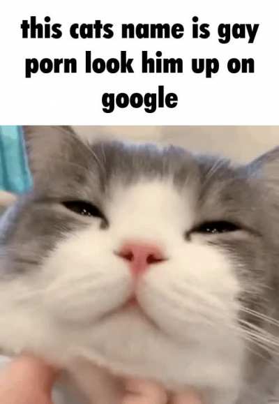 very cute