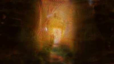 Auction on Mars - Deliriant+Dissociative Replication