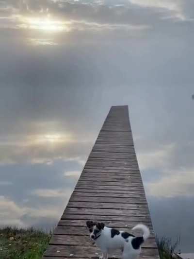 Ladder to the sky in Latvia