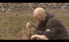 Capybara Agility Training