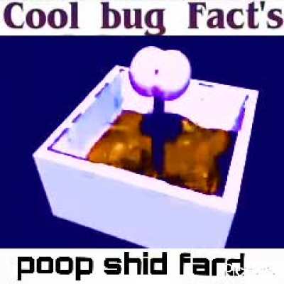 OC content