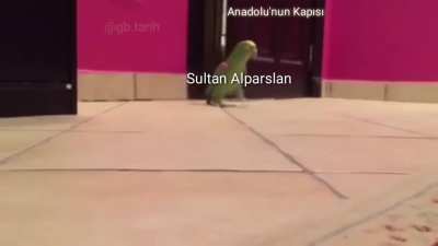 Sultan Alparslan Anadolu'nun kapısını araladıktan sonra sevinç kahkaları atıyor