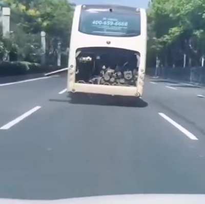 Mesmo estando num transporte público, festeje!