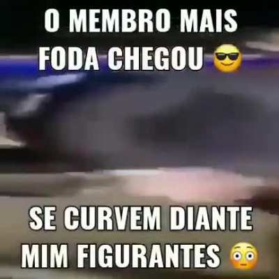 Bom dia
