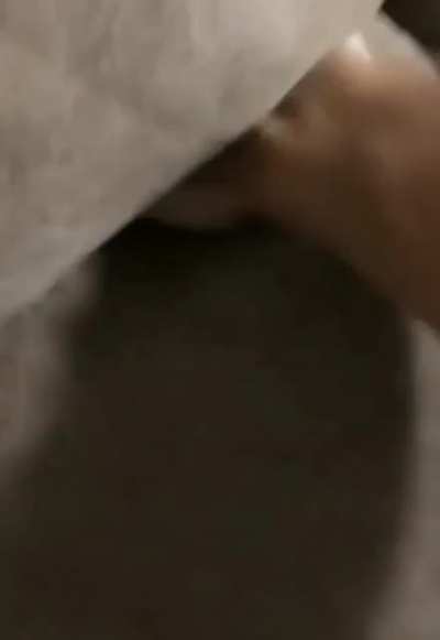 How did that get there? O_o