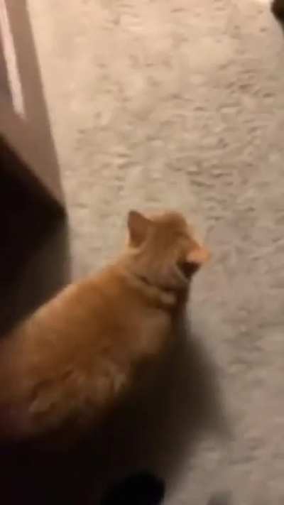 eh-